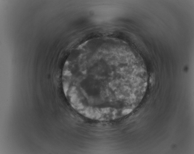 X0000094220867200711241719