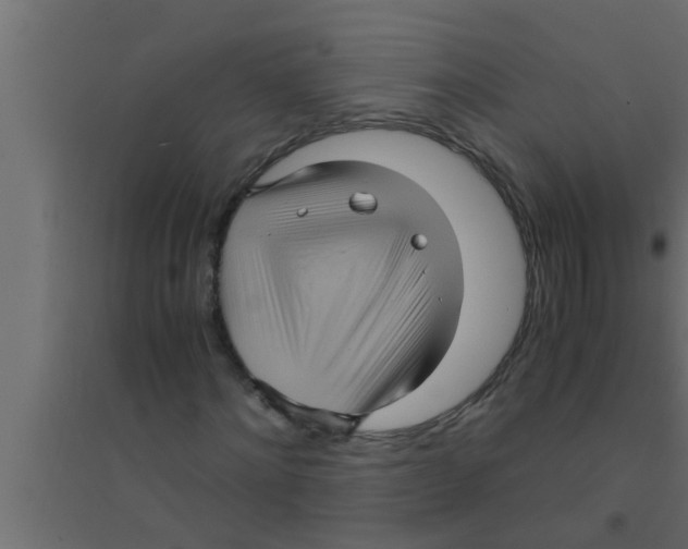 X0000094220868200711241719