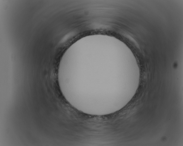 X0000094220869200711241719