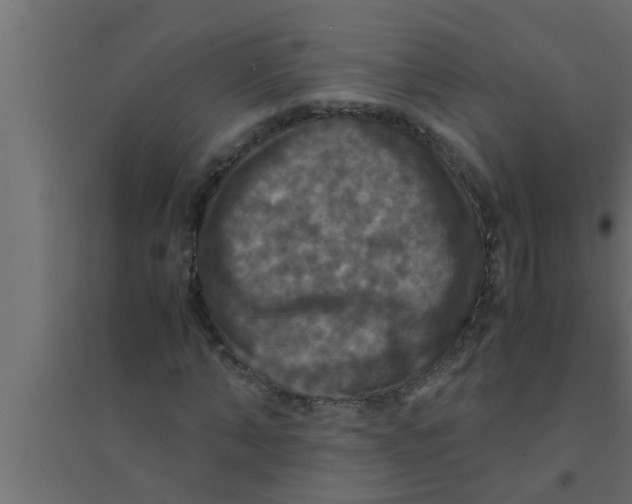 X0000094220870200711241719