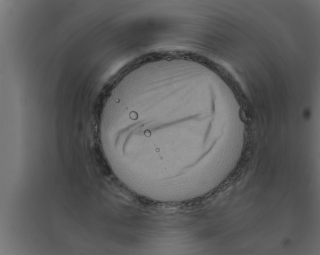 X0000094220871200711241719