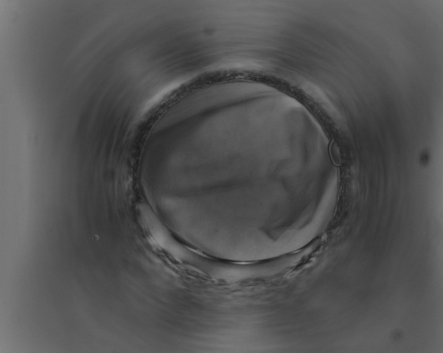 X0000094220872200711241719