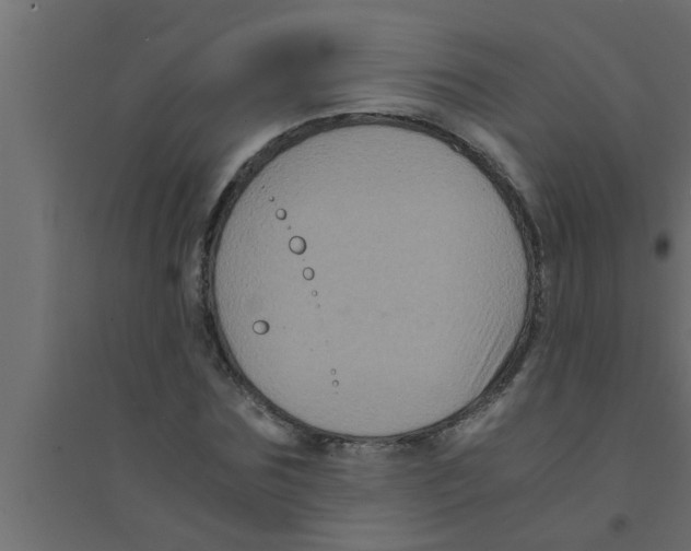 X0000094220875200711241719