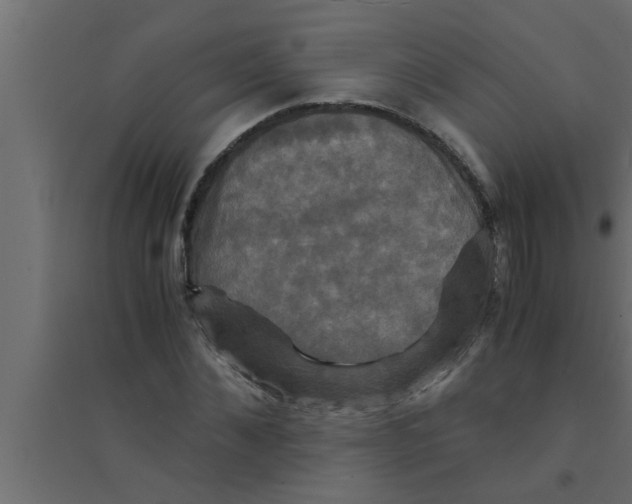 X0000094220876200711241719