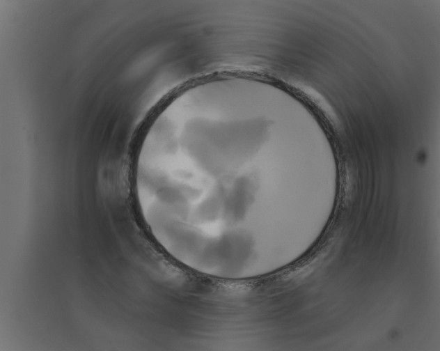 X0000094220878200711241719