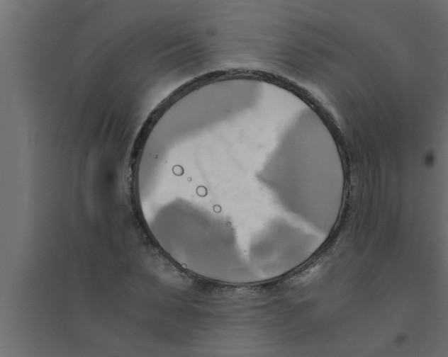 X0000094220879200711241719