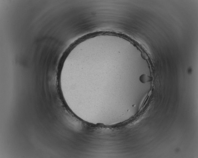 X0000094220880200711241719