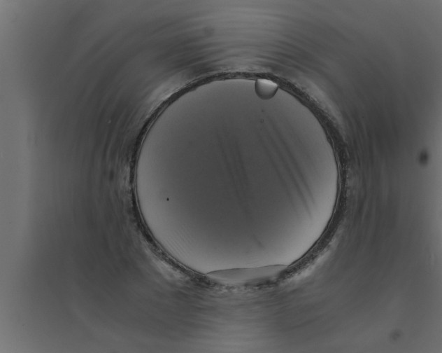 X0000094220881200711241719