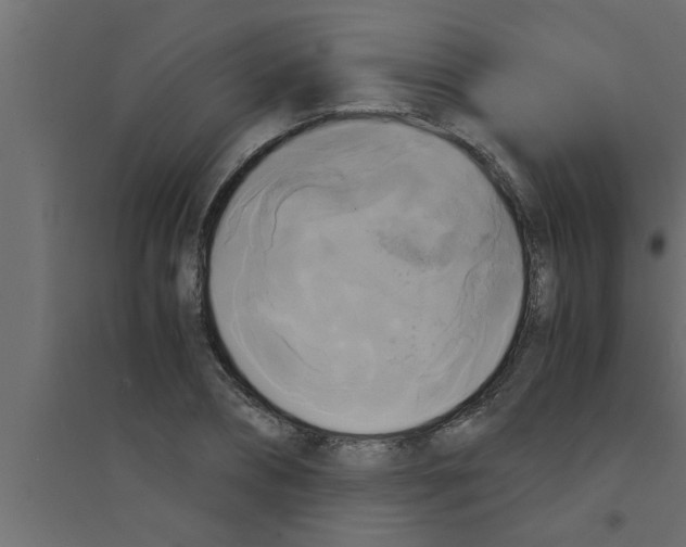 X0000094220882200711241719