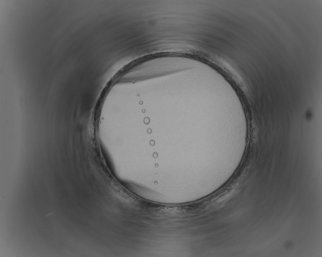 X0000094220883200711241719