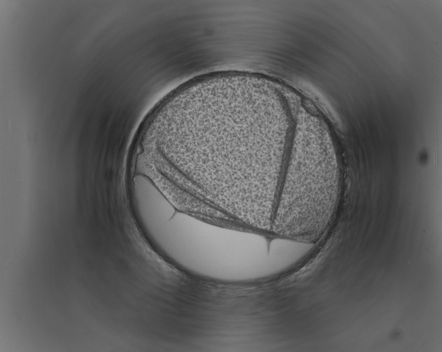 X0000094220884200711241719