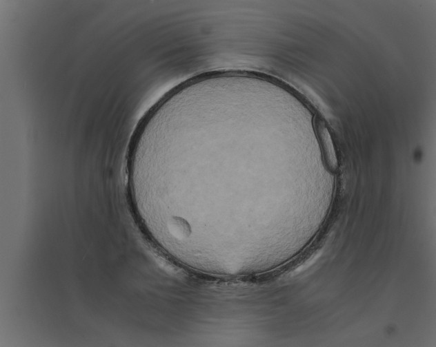 X0000094220885200711241719