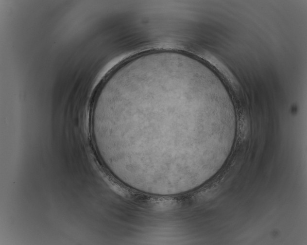 X0000094220886200711241719