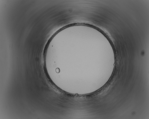 X0000094220887200711241719