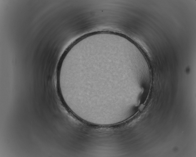 X0000094220888200711241719