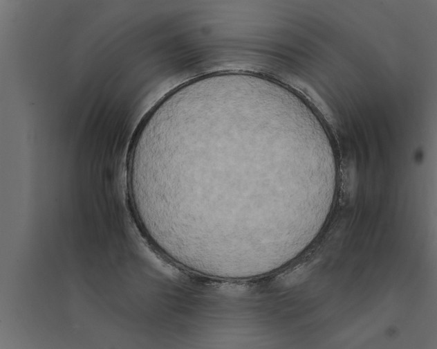 X0000094220890200711241719