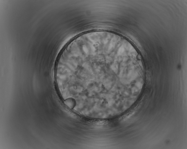 X0000094220891200711241719