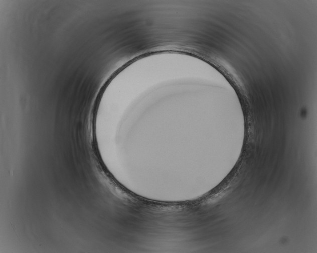 X0000094220892200711241719