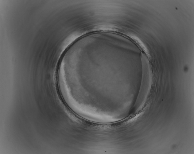 X0000094220893200711241719