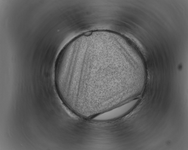 X0000094220894200711241719