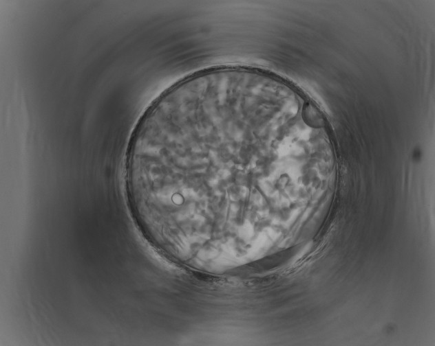 X0000094220895200711241719