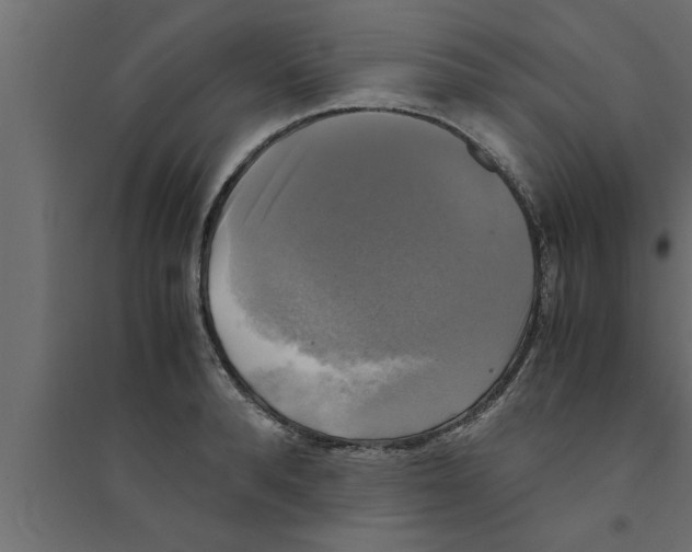 X0000094220896200711241719