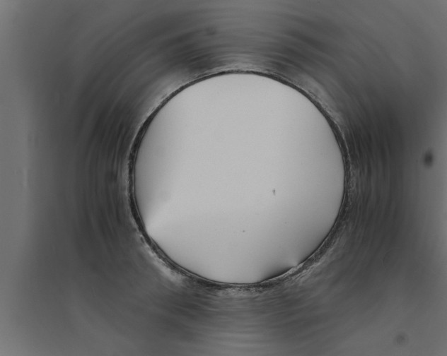 X0000094220898200711241719