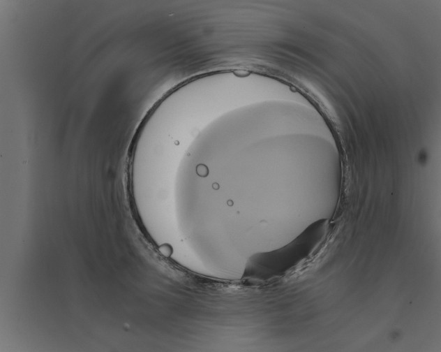 X0000094220899200711241719