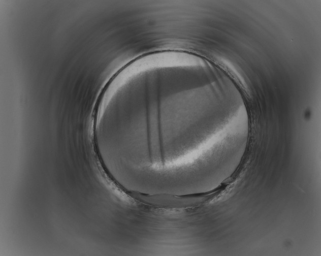 X0000094220900200711241719