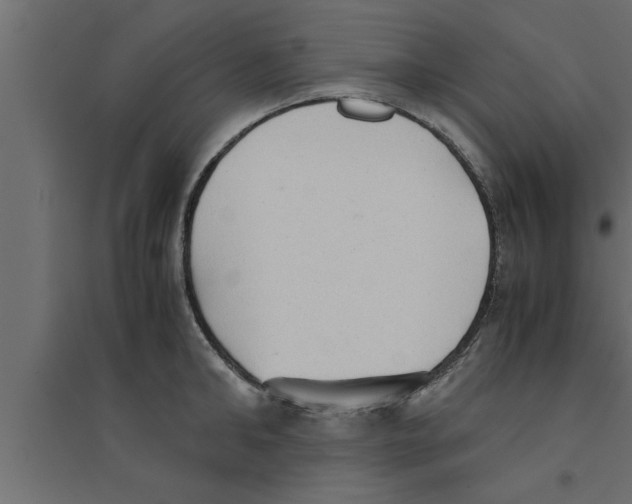 X0000094220902200711241719