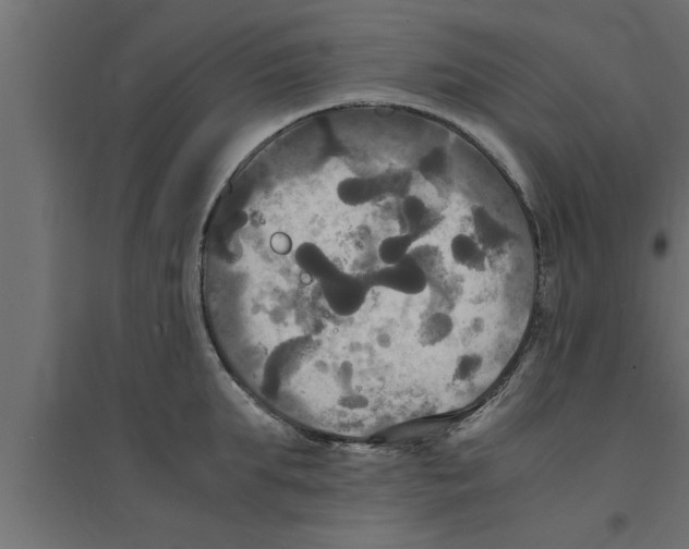 X0000094220903200711241719