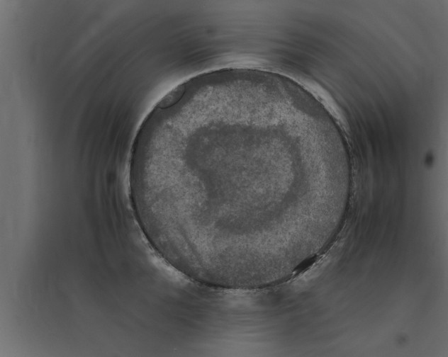 X0000094220904200711241719