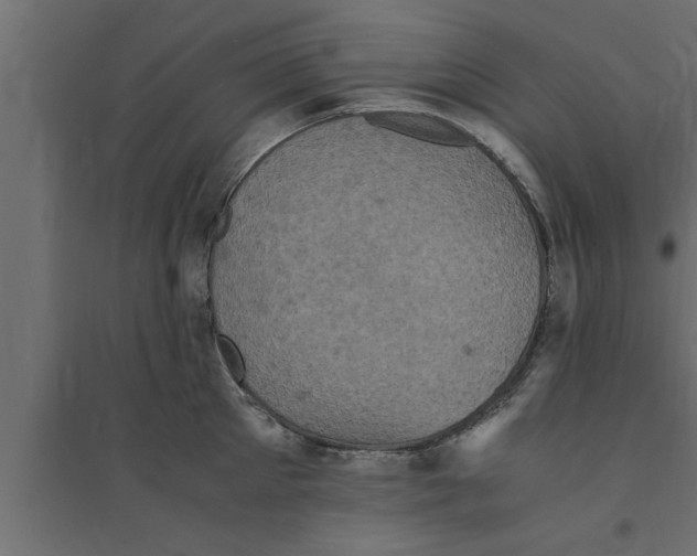 X0000094220905200711241719