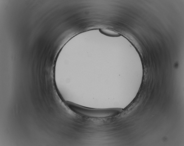 X0000094220906200711241719