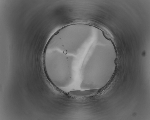 X0000094220907200711241719