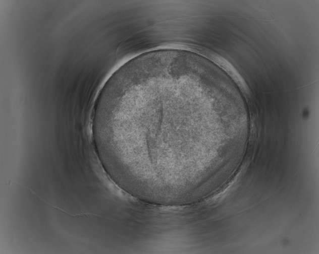 X0000094220908200711241719