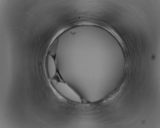 X0000094220909200711241719