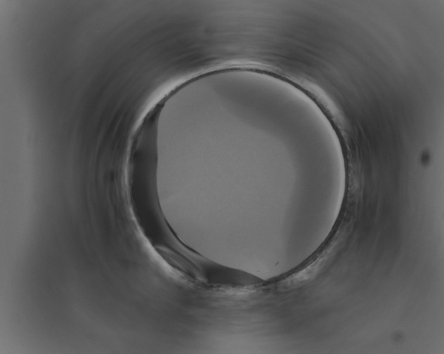 X0000094220910200711241719