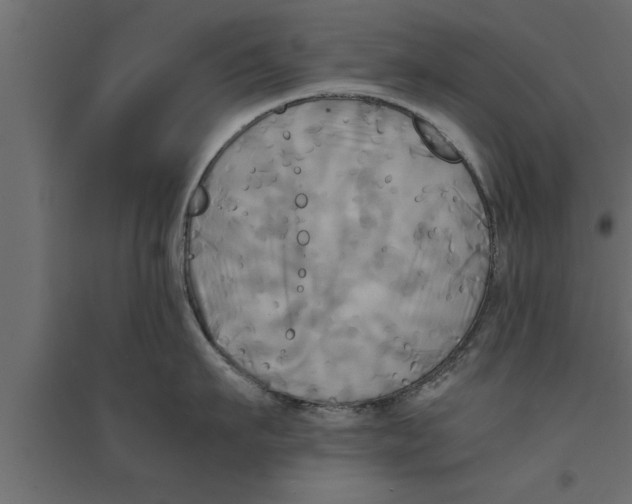 X0000094220911200711241719