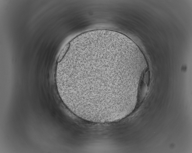 X0000094220912200711241719