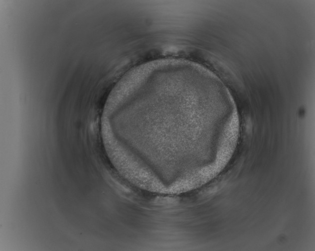 X0000094220914200711241718