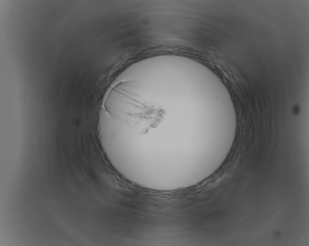 X0000094220916200711241718