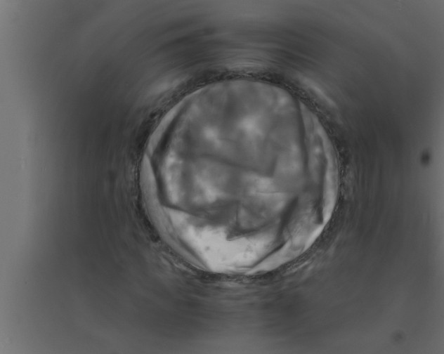 X0000094220917200711241718