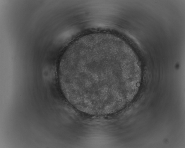 X0000094220918200711241718