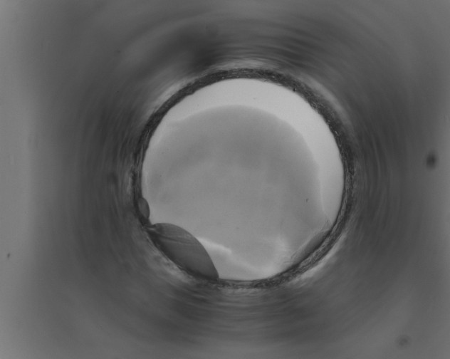 X0000094220921200711241718