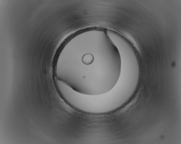 X0000094220924200711241718