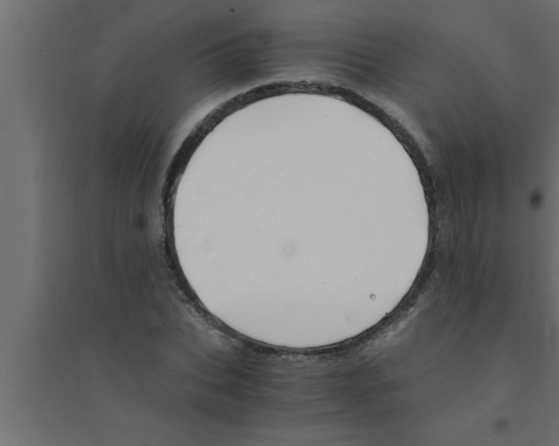 X0000094220927200711241718