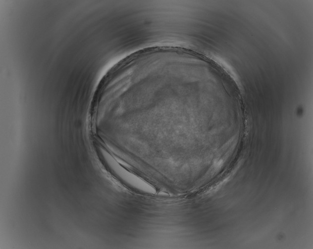 X0000094220928200711241718