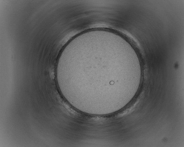 X0000094220929200711241718