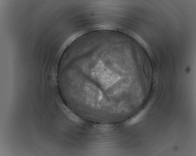 X0000094220930200711241718